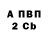 APVP СК КРИС Saleh Amini