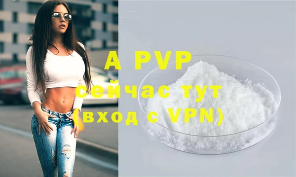 spice Богданович