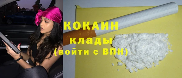 кокс Богородицк