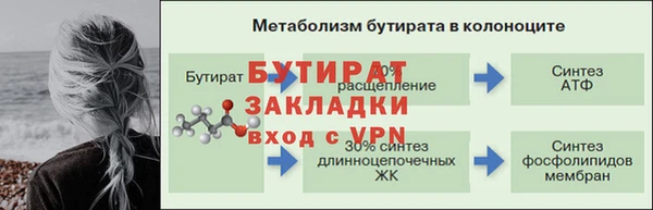 spice Богданович
