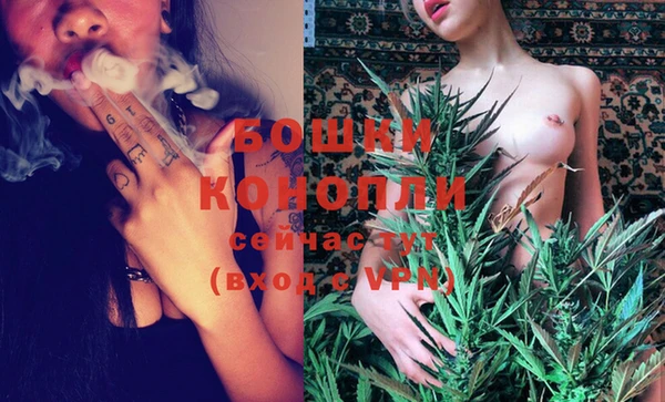кокс Богородицк
