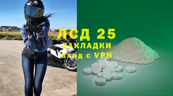 spice Богданович